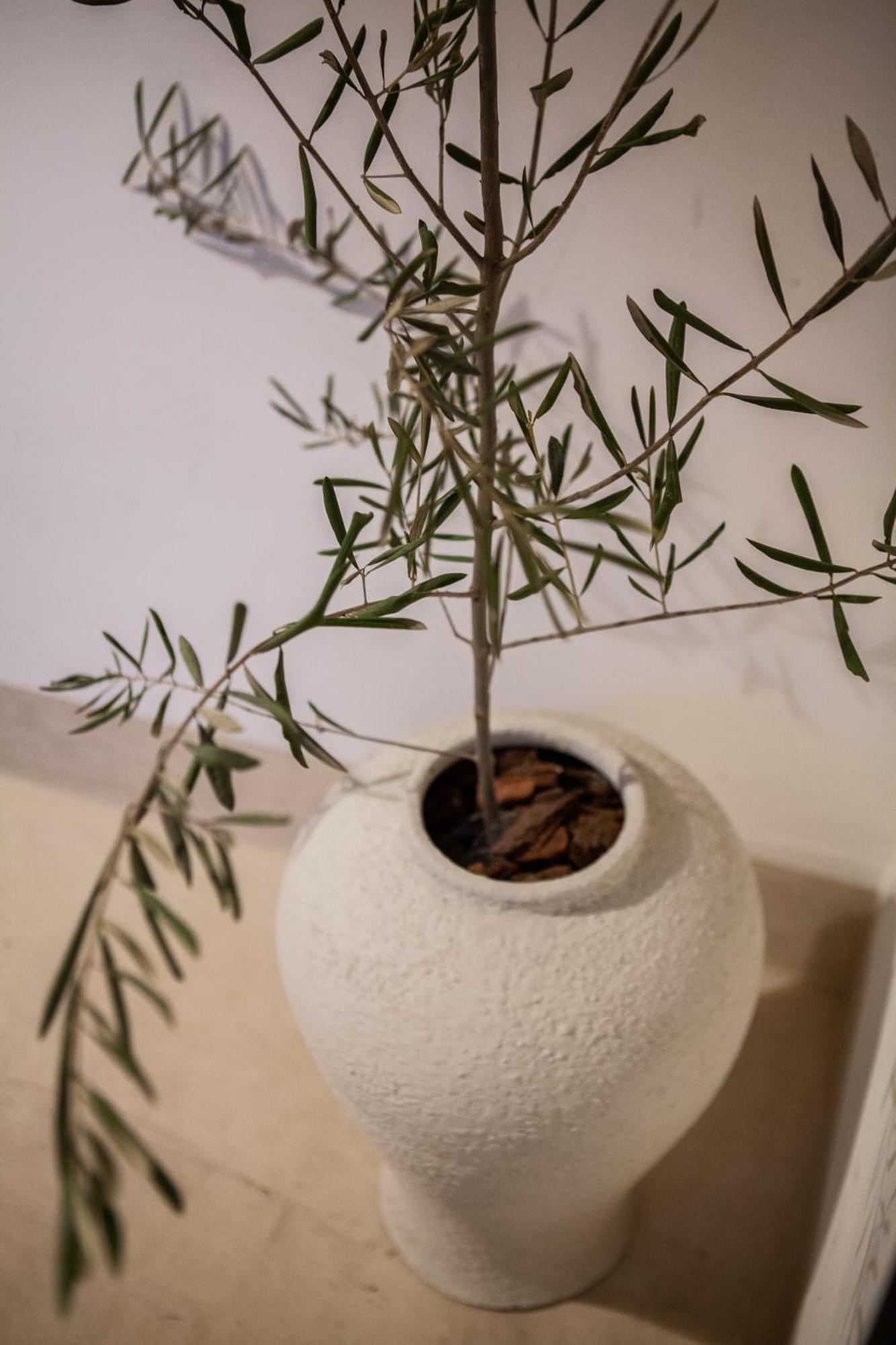 Cosy Riad Марракеш Екстер'єр фото